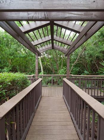 Jogging trail